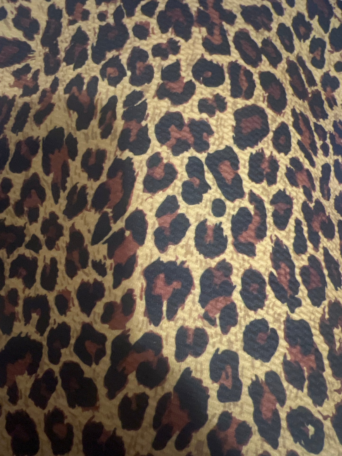 leopard